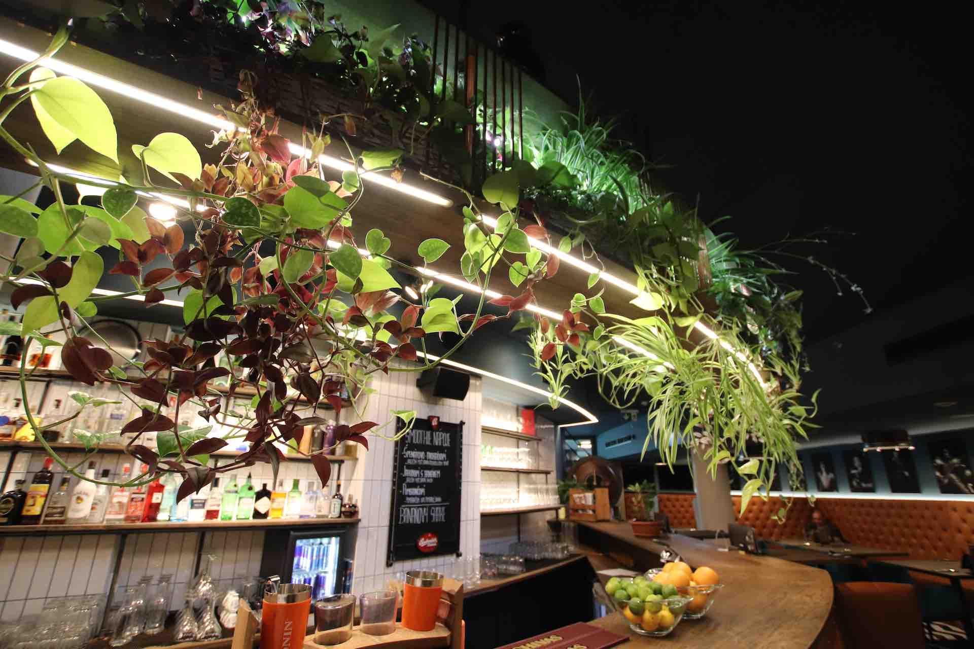 Restaurace — foto 1